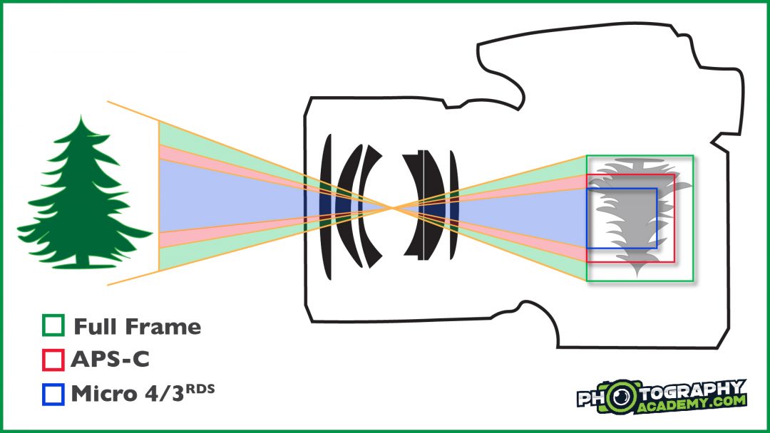 An illustration showing how crop factor works